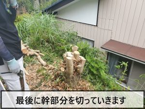 玄関前の木を根元まで伐採した状態