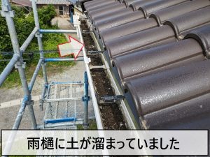 雨樋には土が溜まっている状態