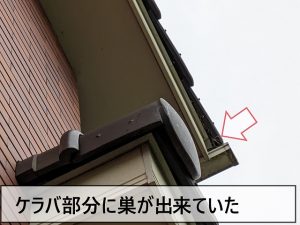 屋根のケラバ部分に雀の巣が出来ている状態