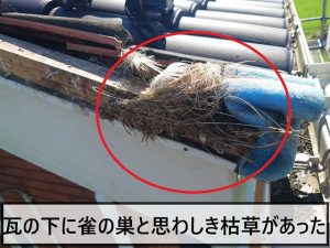 瓦を外すとスズメの巣が出てきた状態