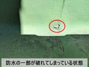 防水の一部に剥がれている部分がある状態