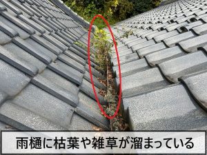 雨樋部分に枯葉が溜まり雑草が生えている状態