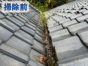 福島県いわき市　雨樋に枯葉や土が溜まり雑草が生えてしまっている状態