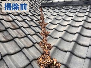 福島県いわき市　屋根の谷部分に枯葉が溜まってしまっている状態