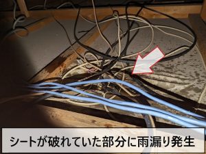 散水試験を行い雨漏りが発生した状態の屋根裏