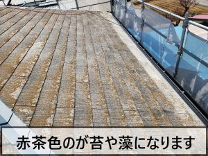 福島県郡山市　屋根には大量に苔が発生している状態