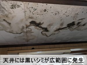 福島県広野町 台所の天井に雨漏りにより黒いシミが発生している状態