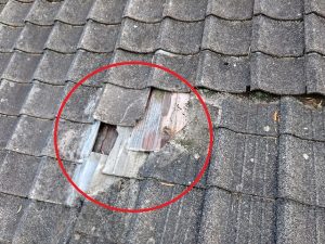 福島県広野町 瓦が落下して外れている状態