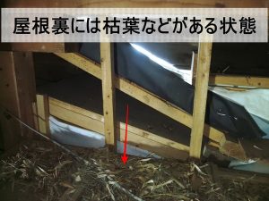 福島県双葉郡富岡町　屋根裏には枯葉が溜まっている状態