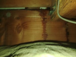 雨漏りしている天井内部