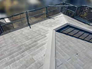 苔の繁殖と色褪せが進行している屋根