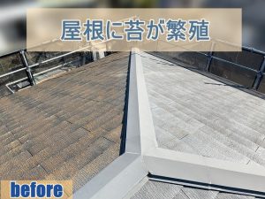 屋根に苔が繁茂したスレート屋根
