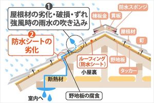 屋根から雨漏りが発生する流れ